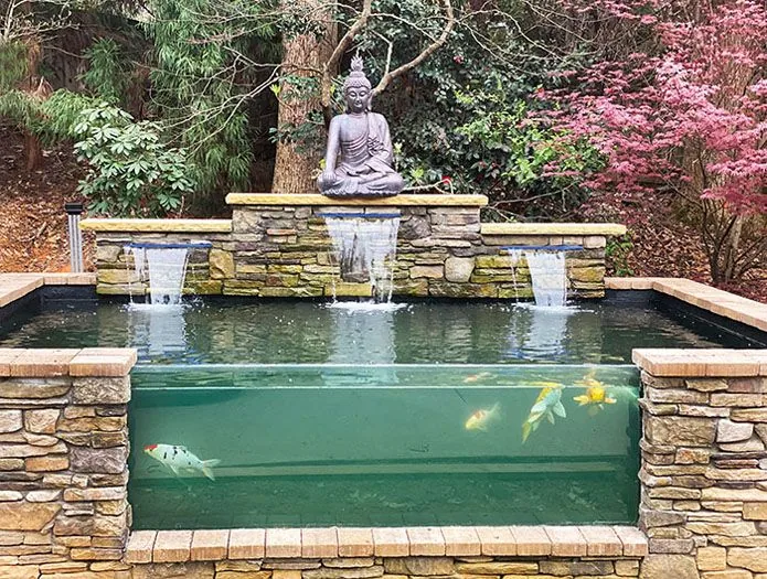 Bespoke Pond Design And Installation