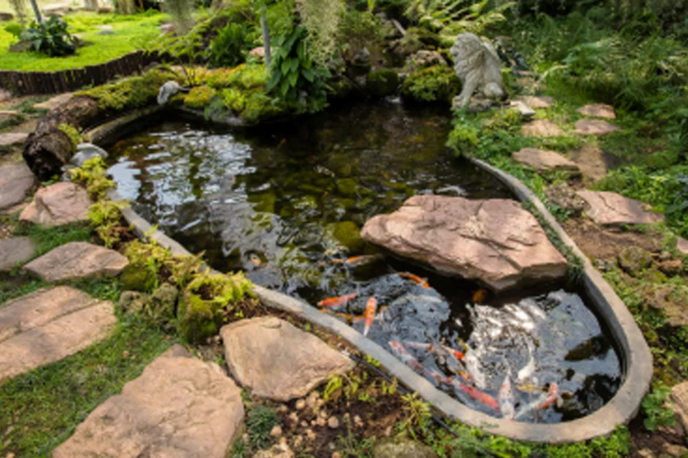 How To Plan A Contemporary Pond Blog 1