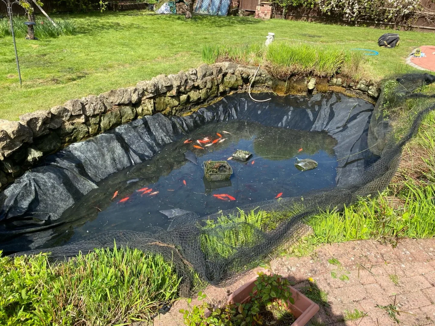 Ongoing Pond Maintenance