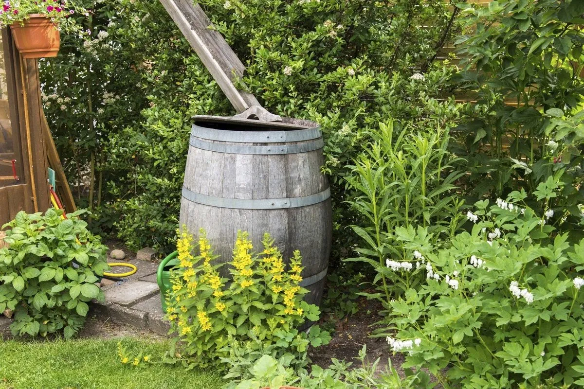 Rainwater Harvesting Integration With Water Features