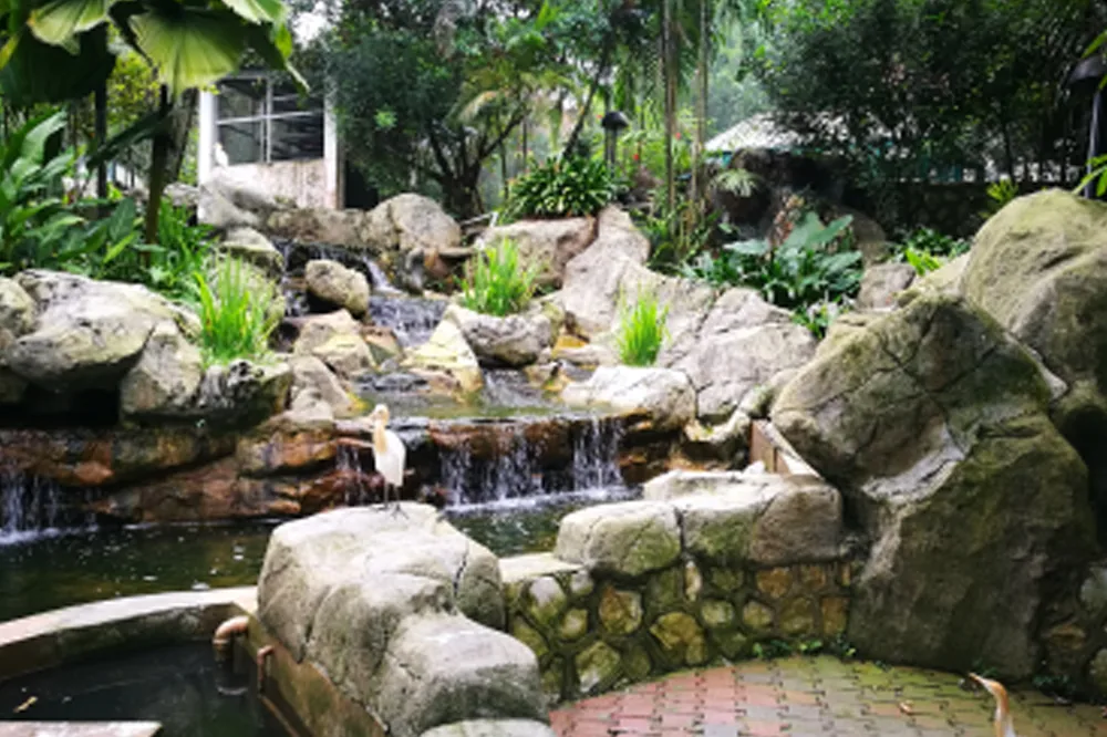 What Makes A Water Feature Luxury Blog 2