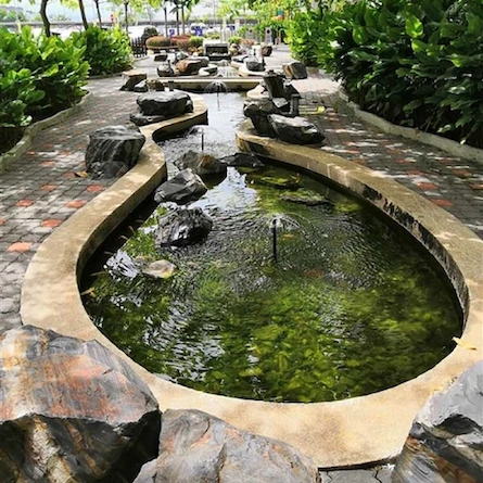 Luxury Pond Garden Uk Design